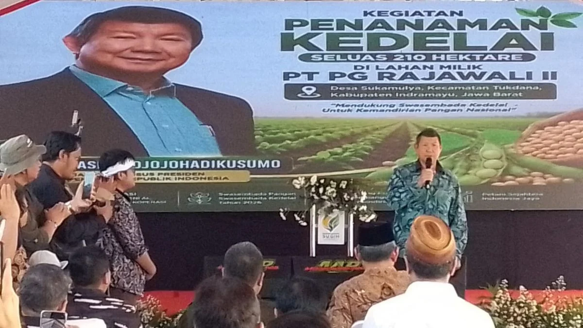 Utusan Khusus Prabowo, Hashim Hadiri Penanaman Kedelai Nasional Indramayu