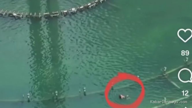 Warganet Salah Sangka! Pria yang Berenang di Bundaran HI Ternyata Bukan Orang 'Sembarangan'