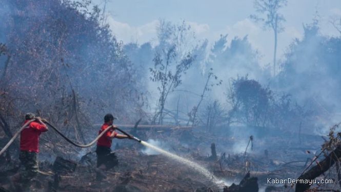 BMKG Ungkap Teknologi OMC Tingkatkan Curah Hujan 40 Persen
