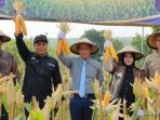 cara-pemerintah-swasta-tingkatkan-produktivitas-jagung-ponorogo-39234 Cara Pemerintah & Swasta Tingkatkan Produktivitas Jagung Ponorogo