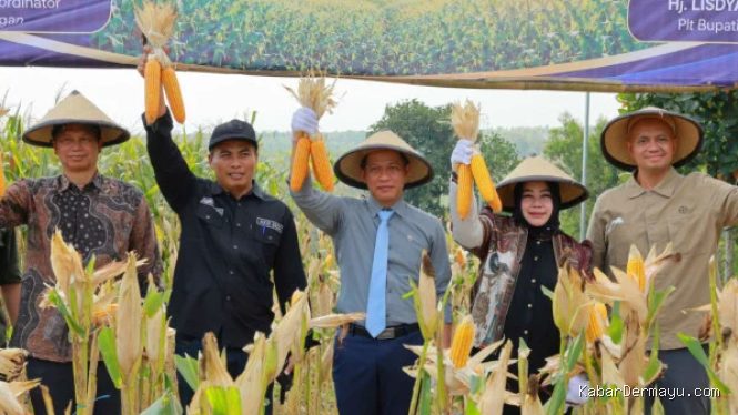 Cara Pemerintah & Swasta Tingkatkan Produktivitas Jagung Ponorogo