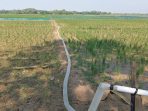 DKPP Indramayu Normalisasi Irigasi, Selamatkan 13 Ribu Hektare Sawah