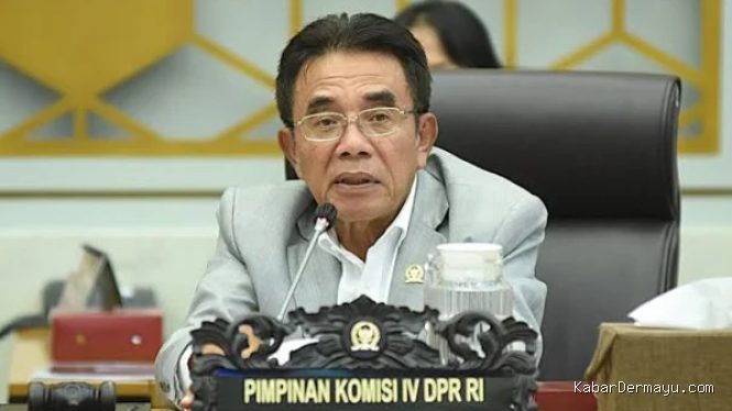 DPR Minta Penyusunan Regulasi Kadar Nikotin dan Tar Mempertimbangkan Berbagai Aspek