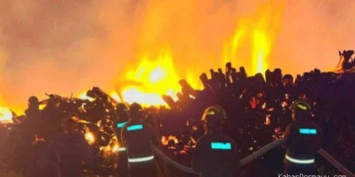 Dugaan Puntung Rokok Jadi Penyebab Kebakaran Pabrik Pengolahan Kayu di Gorontalo