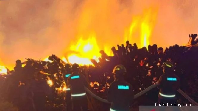 Dugaan Puntung Rokok Jadi Penyebab Kebakaran Pabrik Pengolahan Kayu di Gorontalo