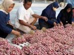 harga-bawang-turun-cek-daftar-harga-beras-telur-dan-ayam-hari-ini-99130 Harga Bawang Turun, Cek Daftar Harga Beras, Telur, dan Ayam Hari Ini