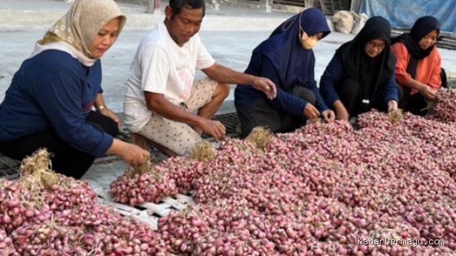 Harga Bawang Turun, Cek Daftar Harga Beras, Telur, dan Ayam Hari Ini