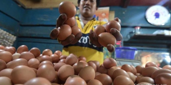 Harga Beras Naik, Cek Daftar Harga Bawang, Cabai hingga Daging Ayam