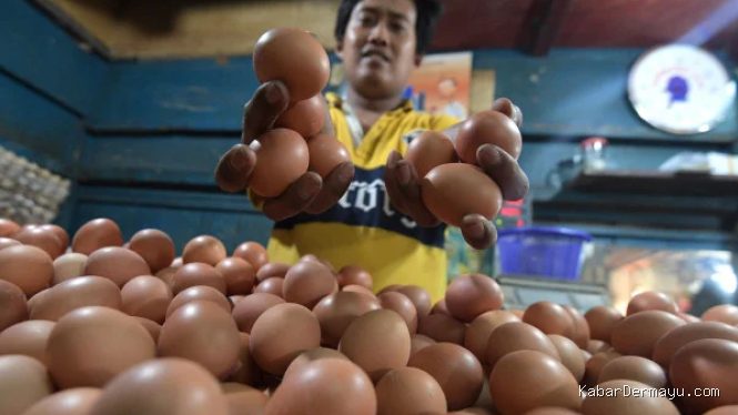 Harga Beras Naik, Cek Daftar Harga Bawang, Cabai hingga Daging Ayam