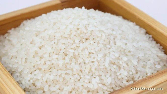 Harga Pangan 11 Juli 2026: Cabai Rawit Rp59.850, Telur Rp28.950