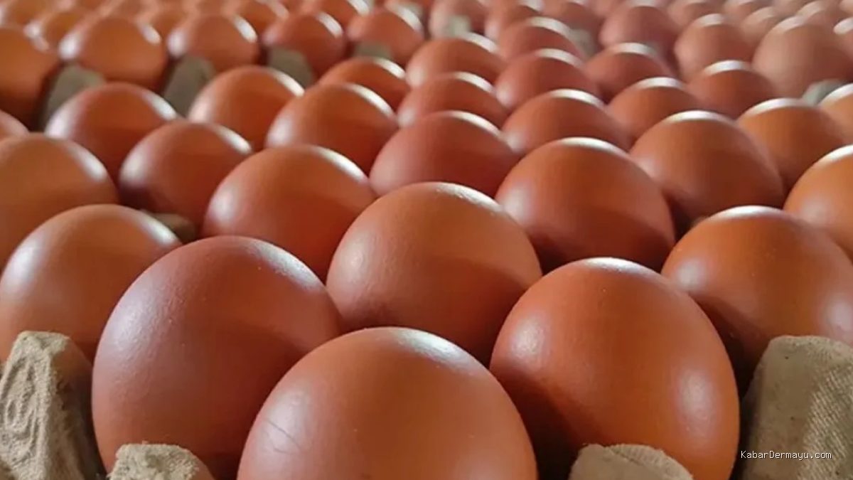 Harga Telur di Pasar Terisi Indramayu Tembus Rp30 Ribu per Kg