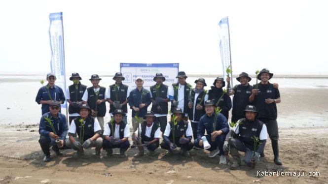 Hari Mangrove Sedunia 2026, BRI Peduli Libatkan Kelompok Tani Lokal Tanam 24 Mangrove Pulihkan Ekosistem Pesisir
