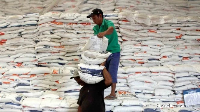 Indef Dorong Perkuat Cadangan Pangan Hadapi El Nino
