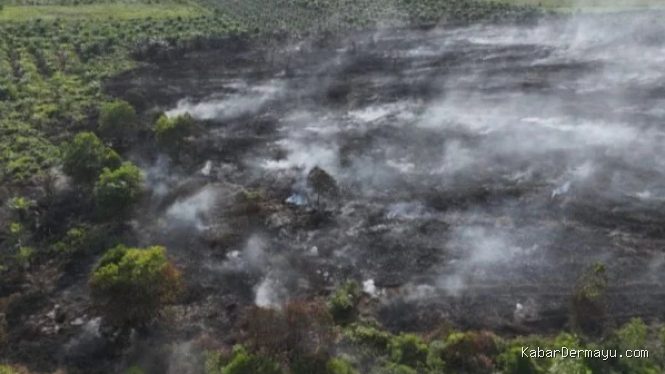 Kebakaran Lahan Gambut Seluas 7 Hektare di Riau, Puluhan Titik Panas Terdeteksi