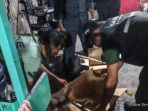 Kemenhut Bongkar Jual-Beli Satwa Dilindungi di Facebook, 7 Burung Langka Disita di Jayapura
