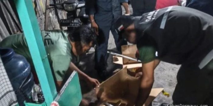 Kemenhut Bongkar Jual-Beli Satwa Dilindungi di Facebook, 7 Burung Langka Disita di Jayapura