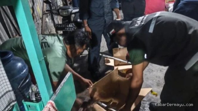 Kemenhut Bongkar Jual-Beli Satwa Dilindungi di Facebook, 7 Burung Langka Disita di Jayapura