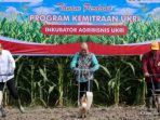 Kementerian UMKM Perkuat Kelompok Tani Jagung Lewat KUR