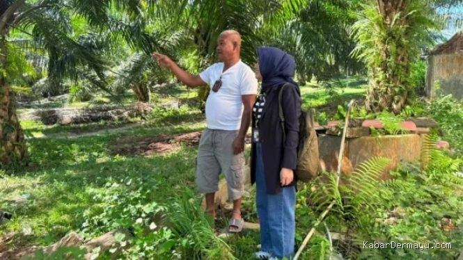 Kiprah Mantri BRI: Menggerakkan Ekonomi hingga ke Pelosok Desa