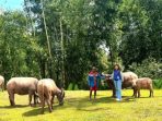 mantri-bri-bawa-akses-perbankan-ke-pegunungan-toraja-utara-55894 Mantri BRI Bawa Akses Perbankan ke Pegunungan Toraja Utara