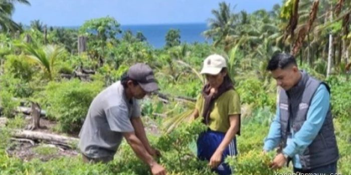 Mantri BRI: Penggerak Ekonomi di Pelosok Kepulauan Talaud