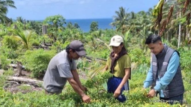 Mantri BRI: Penggerak Ekonomi di Pelosok Kepulauan Talaud
