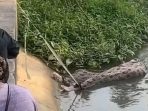 Mayat Pria di Sungai Cipelang Widasari Indramayu Teridentifikasi