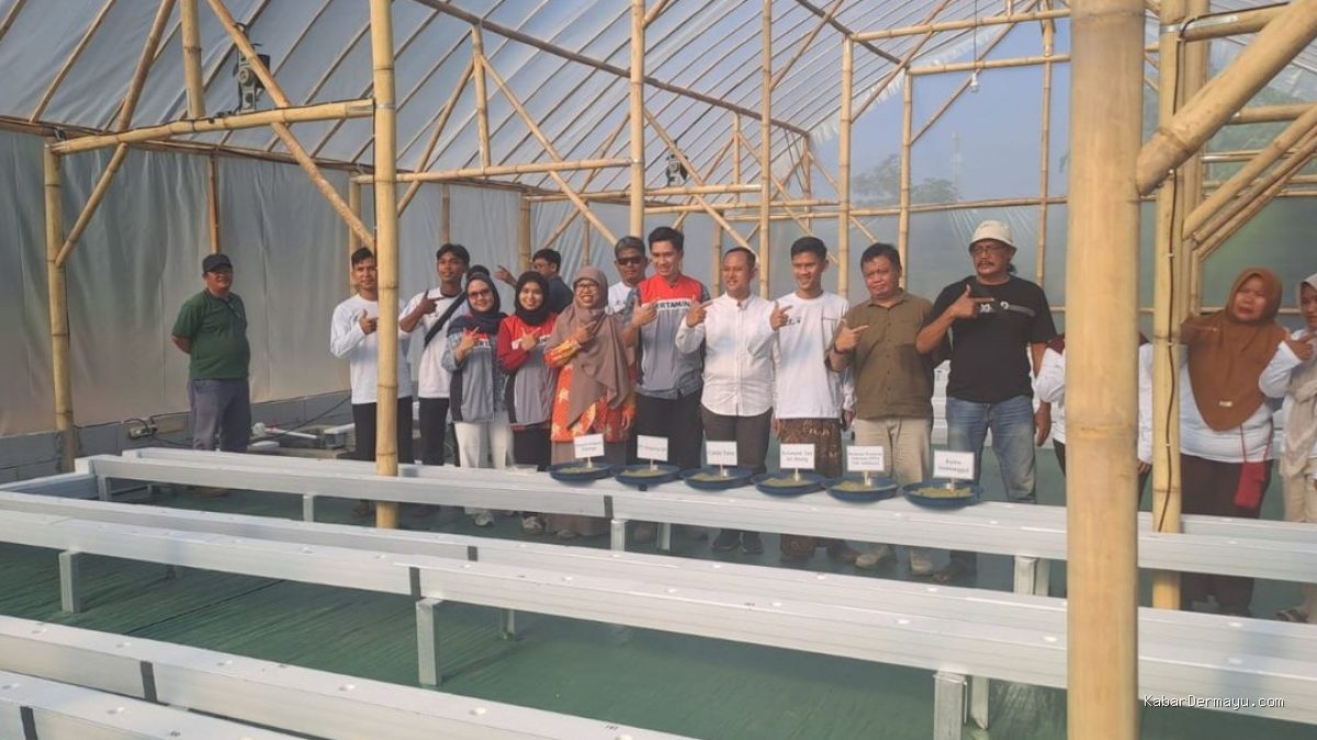 Pertamina EP 'Smart Green House' Melon Premium: Dongkrak Ekonomi Petani Indramayu