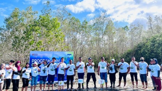 PNM Beri Dampak Ekonomi dan Lingkungan di Hari Mangrove Sedunia
