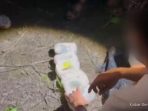 Sabu 7 Kg Ditemukan di Kebun Sawit, Polisi Buru Pemasok Utama