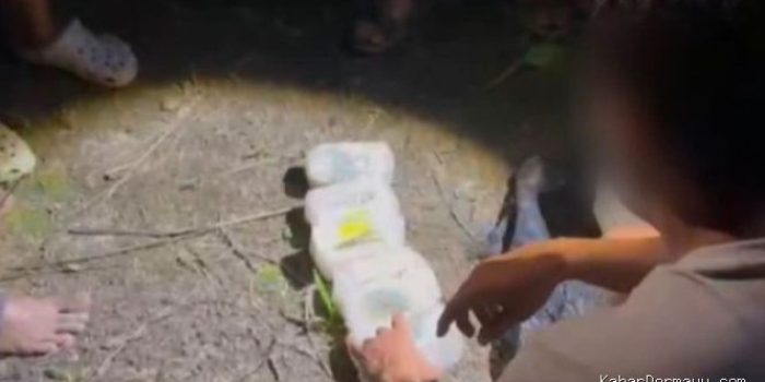 Sabu 7 Kg Ditemukan di Kebun Sawit, Polisi Buru Pemasok Utama