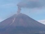 Semeru Erupsi Delapan Kali, Kolom Abu Capai 900 Meter