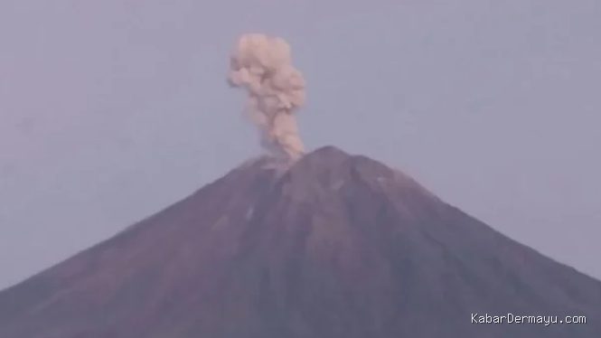Semeru Erupsi Tujuh Kali Hari Ini