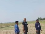 Tanaman Padi di Indramayu Terancam Puso, Petani Butuh Air Segera