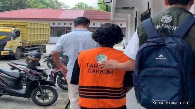 3 Pembalak Liar di Habitat Harimau Sumatra Tertangkap, Ratusan Kayu Disita