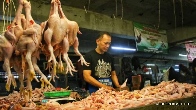 Daftar Harga Pangan: Beras, Minyak, Telur, dan Ayam Kompak Naik