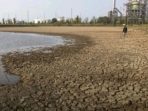 Embung Balongan Kering: 550 Hektare Sawah Indramayu Terancam Gagal Panen