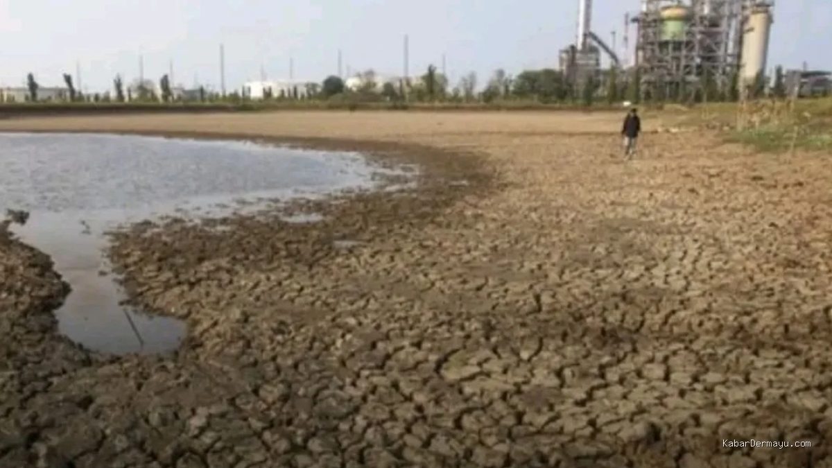 Embung Balongan Kering: 550 Hektare Sawah Indramayu Terancam Gagal Panen