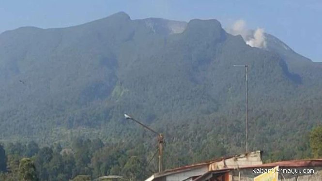 Gunung Gede Pangrango Terbakar: Seluruh Jalur Pendakian Ditutup Total hingga 11 Agustus