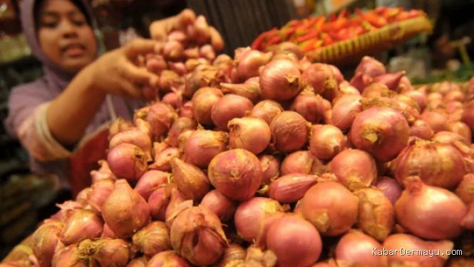 Harga Beras dan Bawang Naik, Cek Daftar Harga Pangan Hari Ini