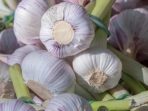 impor-bawang-putih-tembus-22976-ribu-ton-98-persen-dari-china-61961 Impor Bawang Putih Tembus 229,76 Ribu Ton, 98 Persen dari China