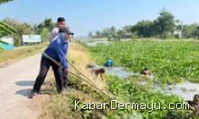 Indramayu Sempat Dihantui Banjir dan Bau, Begini Cara Warga Tawangsari Indramayu Menyelamatkan Sungai Kalen Pasir 9 Agustus 2026, 17:57 WIB