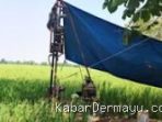 Irigasi Pompanisasi PM AAS Plosokerep Indramayu Bermasalah, Ketua Kelompok Tani Mengaku Tak Tahu 12 Titik Lokasi