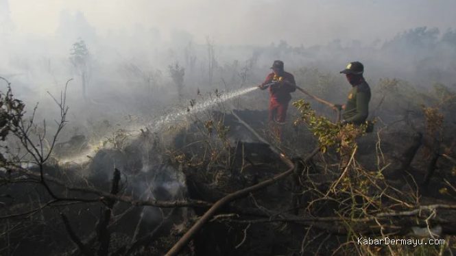 Karhutla di Kalbar Memakan Korban Jiwa, Satu Warga Tewas