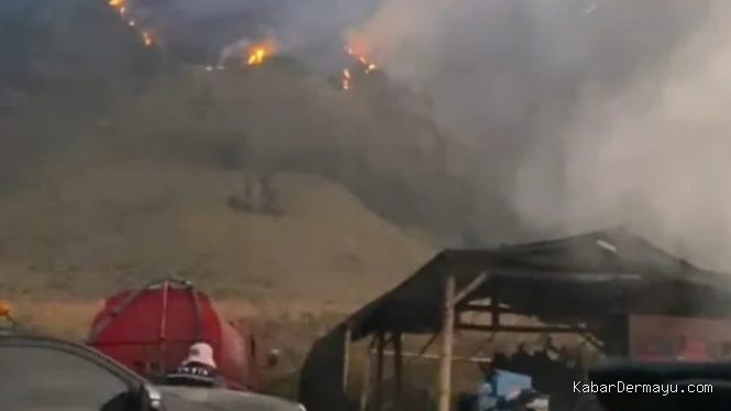 Kebakaran Bromo Meluas ke B29, TNBTS Ungkap Kondisi Terkini