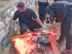 Kerangka Manusia di Tanjungpinang Ditemukan Pasca Kebakaran Lahan