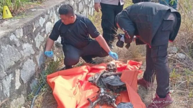 Kerangka Manusia di Tanjungpinang Ditemukan Pasca Kebakaran Lahan