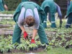 manfaat-berkebun-untuk-kesehatan-fisik-dan-kesehatan-mental-70926 Photo via Bing Images - Manfaat Berkebun untuk Kesehatan Fisik dan Kesehatan Mental