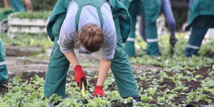 manfaat-berkebun-untuk-kesehatan-fisik-dan-kesehatan-mental-70926 Photo via Bing Images - Manfaat Berkebun untuk Kesehatan Fisik dan Kesehatan Mental