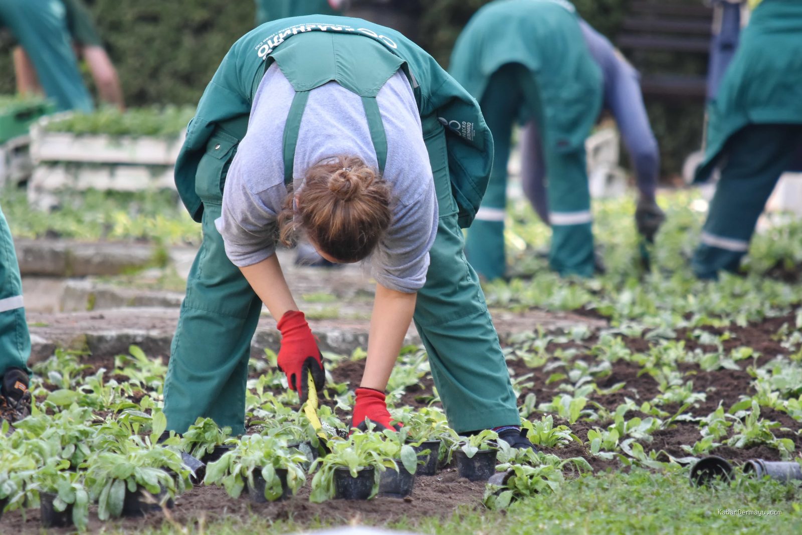 Photo via Bing Images - Manfaat Berkebun untuk Kesehatan Fisik dan Kesehatan Mental